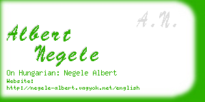 albert negele business card